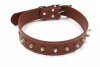 Ogrlica za pse 3.5*70cm OK5-braon spic